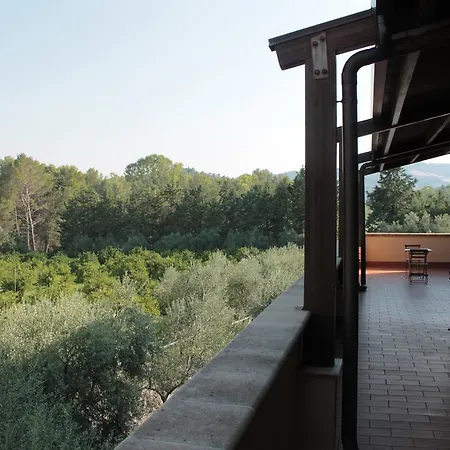 L'assiolo Miglionico