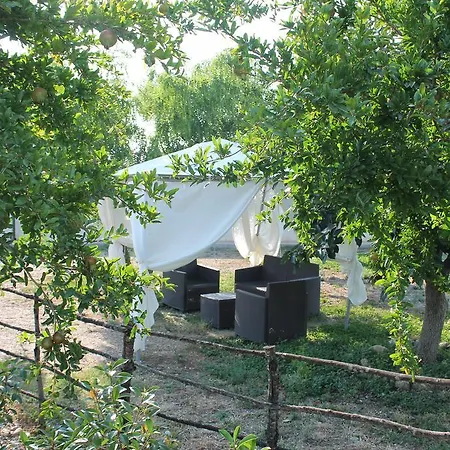 Gospodarstwo agroturystyczne L'assiolo *