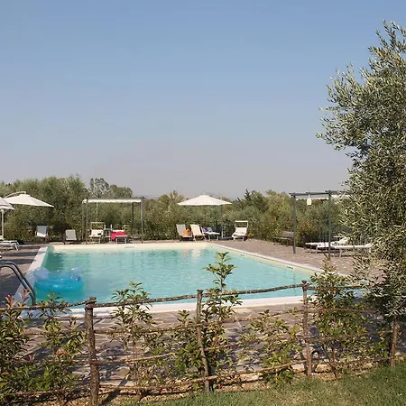 L'assiolo Miglionico